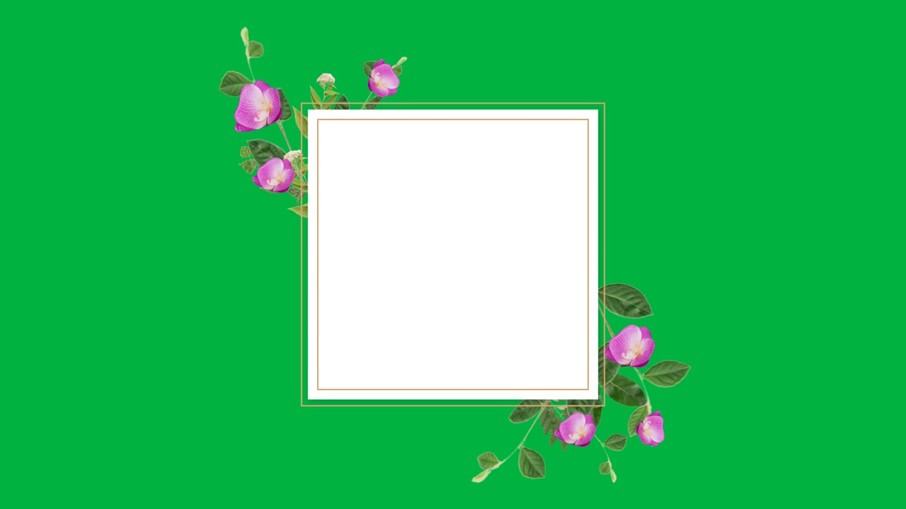 White square popping floral frame scaling flowers sliding shrinking returning transparent for text
