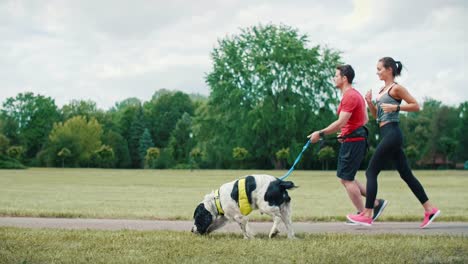 morning running with dog and partner, katowice, poland