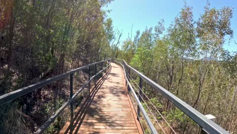 progression along a bridge in a natural setting