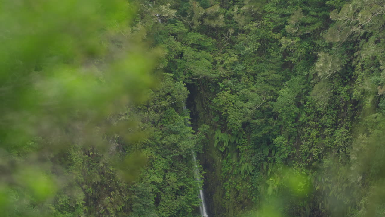 Focus shift between foreground vegetation and background waterfall in Madeira island, Portugal