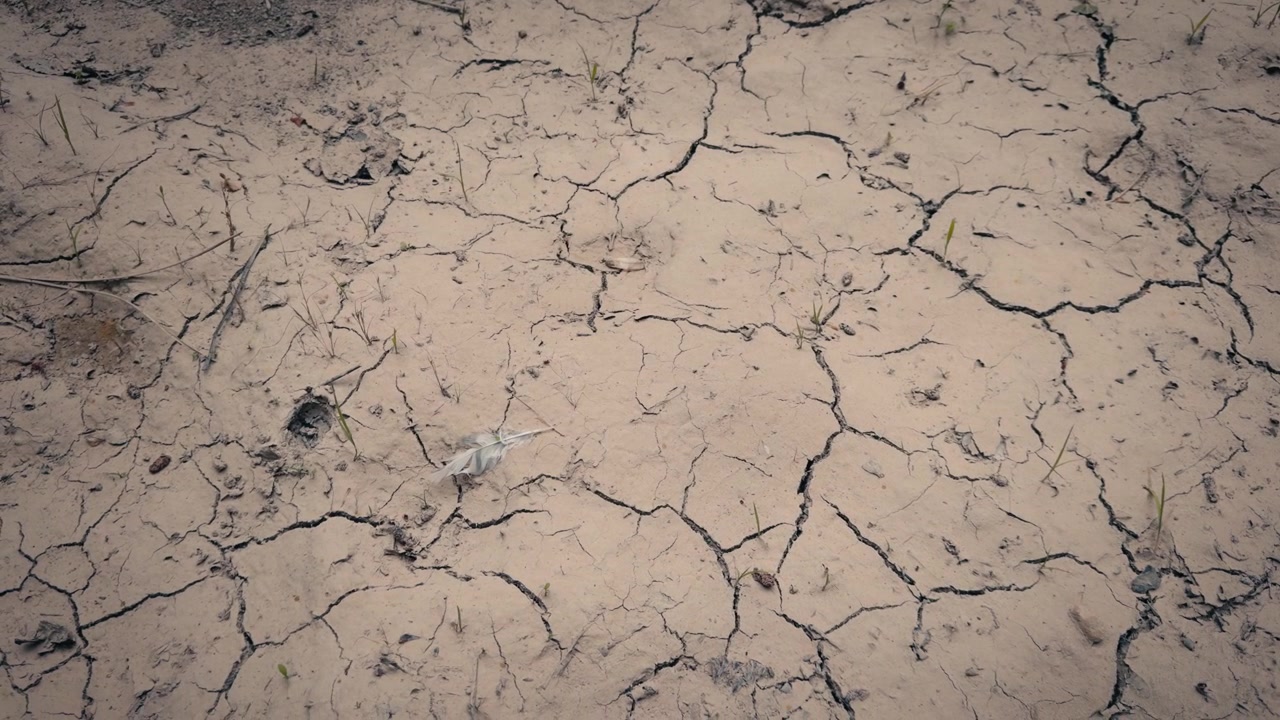 Superficie terrestre arida colpita da grave siccità e condizioni di calore estremo. Prospettiva aerea in movimento.