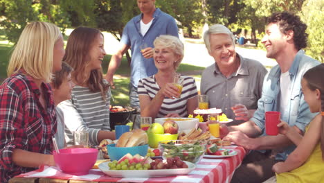 Glückliche-Familie,-Die-Ein-Picknick-Macht