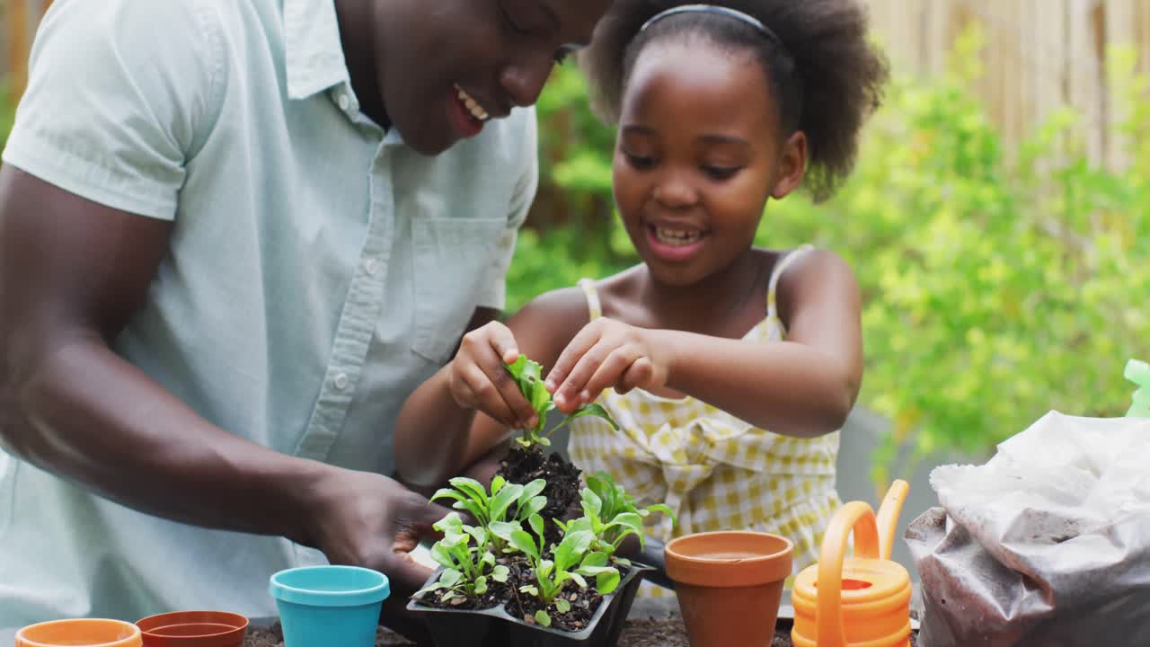 Video of african american father and daughter planting plants