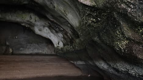 wooden board slides to uncover a cave opening