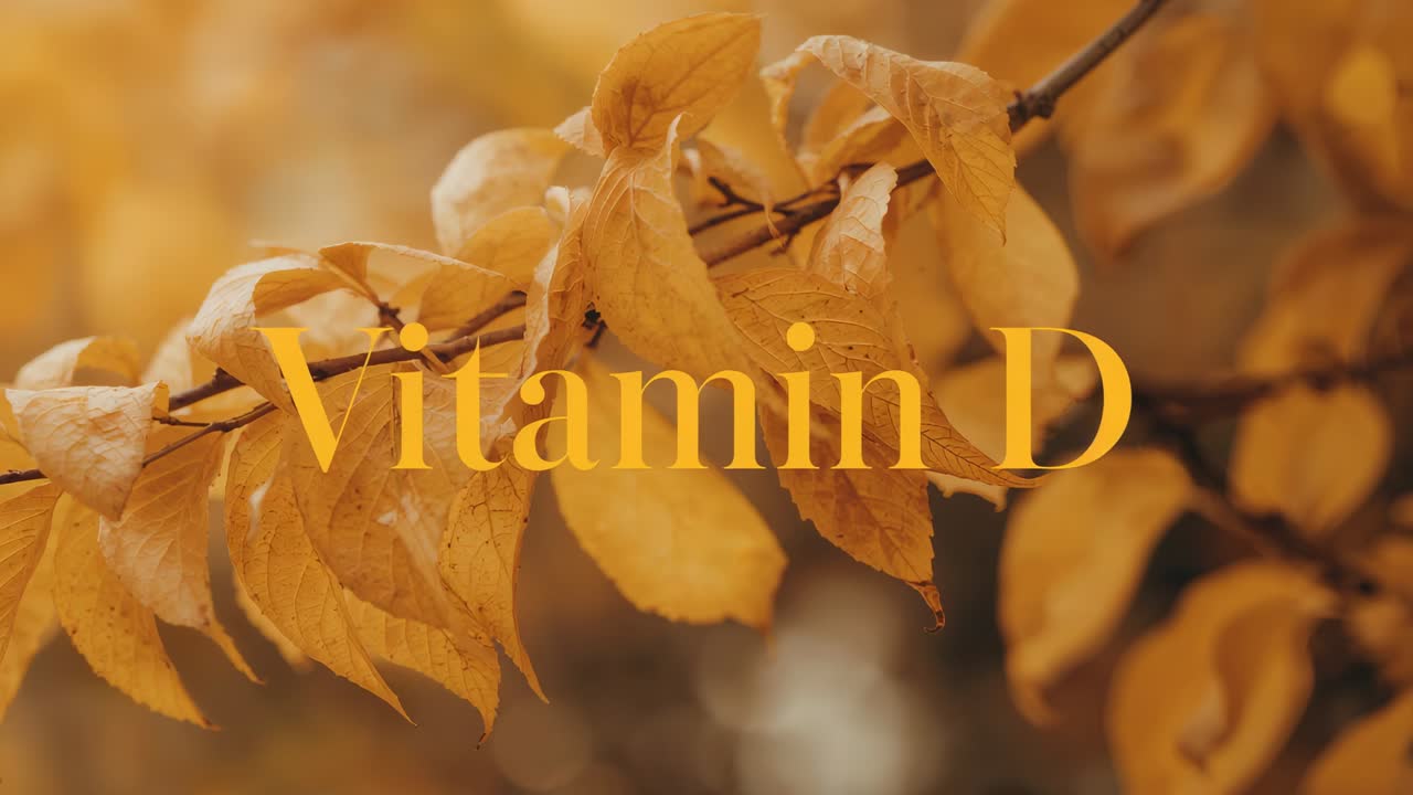 Pulling back camera revealing yellow-orange leaf cluster in park, highlighting Vitamin D text