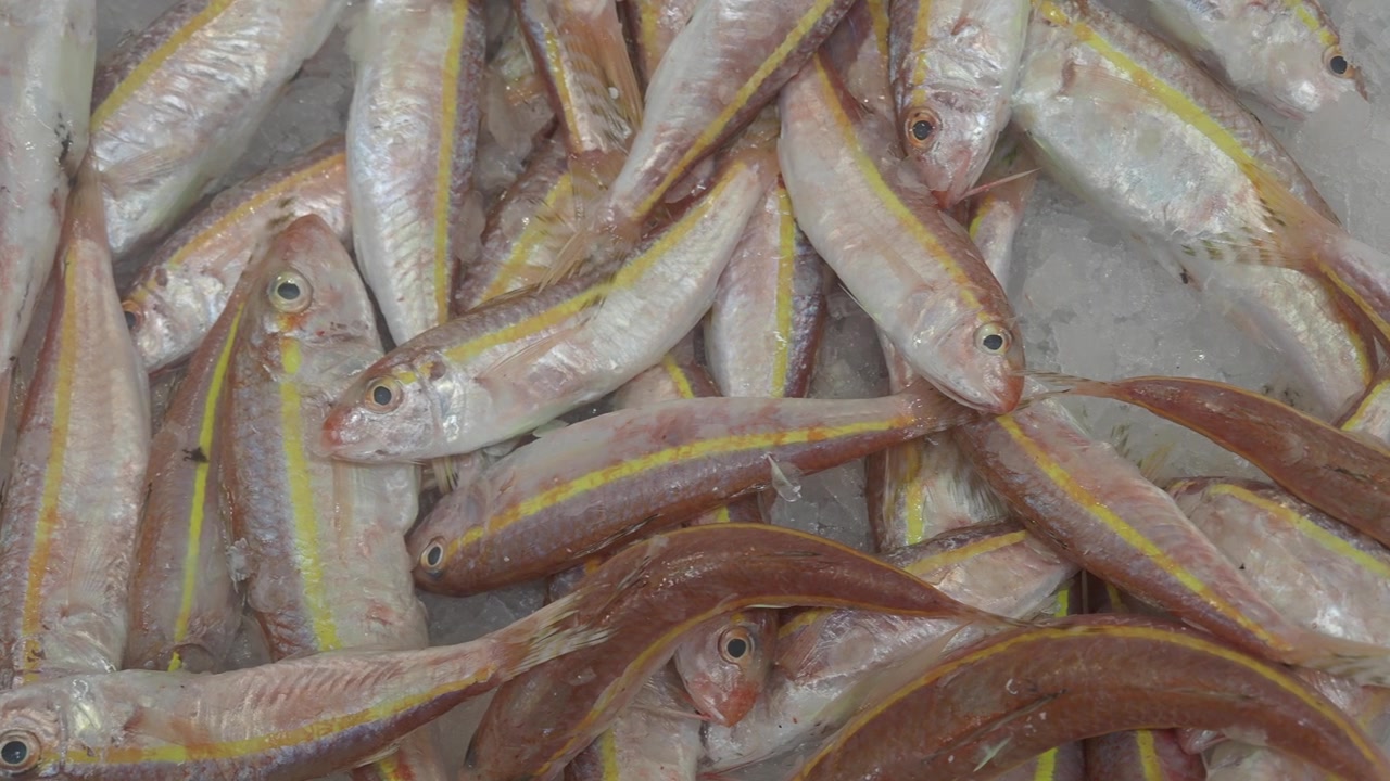 Fresh Raw Fish Displayed on Ice at a Market