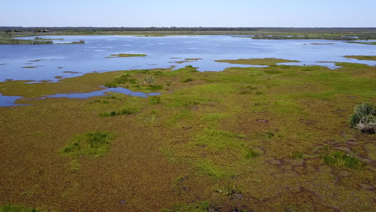 아르헨티나 북동부의 습지가 드론으로 촬영되었습니다.