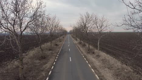 aerial forward through lonely empty road between bare trees