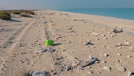 a polluted beach littered with garbage, reflecting the impact of environmental neglect.