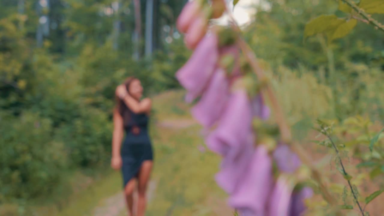 Slow Motion of Female in Black Dress Walking on Natural Path With Purple foxglove Flowers and Green Forest on Summer Day, Changing Depth of Focus, Digitalis