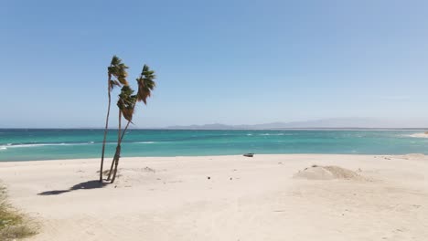 Aerial:-empty-tropical-beach,-palm-trees-on-beach-with-deserted-boat-on-sand,-La-Ventana,-Mexico