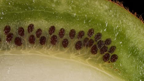 macro shot slice of fresh green kiwi and seeds fruit on black background. juicy fresh ripe delicious sliced kiwi fruit, close-up.