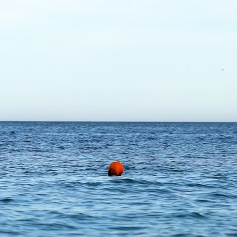 navigational buoy in sea