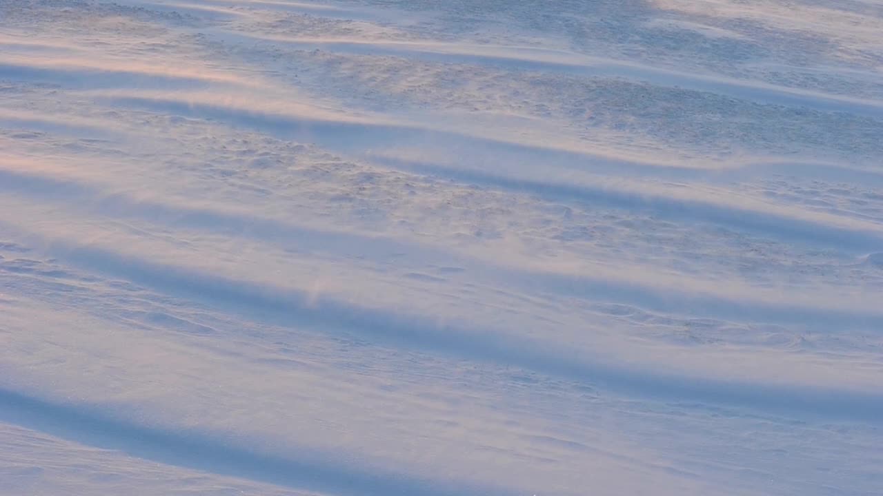 흰색 조각이 더 하얗고 고요한 파도 위를 미끄러지듯 흘러갑니다.