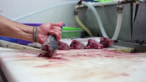limpia y prepara pescado para su venta en el mercado 2