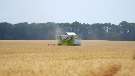 Working harvesting combine in field. Harvesting wheat by combine harvester on the field