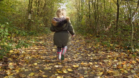 a young child explores forest, walks along a forest path full of leaves