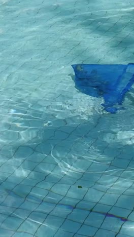 sequential cleaning of a pool using a skimmer net