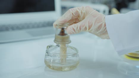 scientist using a bunsen burner in a lab