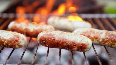 delicious juicy sausages, cooked on the grill with a fire