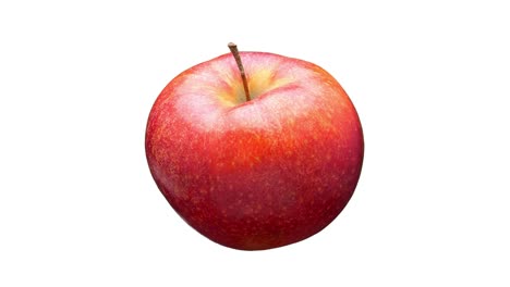 red apple isolated.