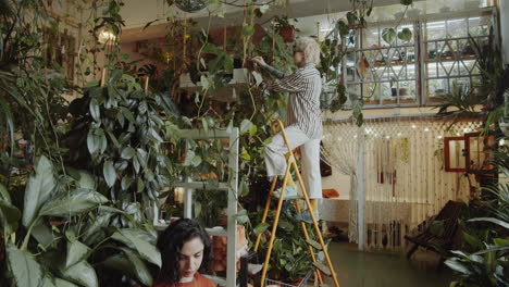 female florists cleaning plant leaves and using laptop in flower shop