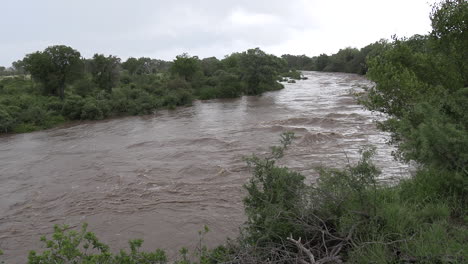 aguas torrenciales después de una inundación repentina en el parque nacional kruger, sudáfrica