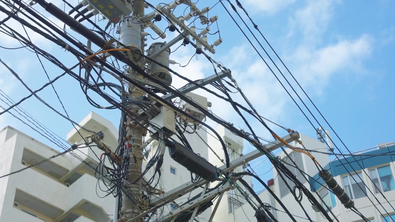 Large-billed crow Nesting in Power lines in Japan, Enoshima