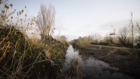 Lauernde-Stille-Am-Mysteriösen-Llobregat-Delta-Fluss-Barcelona