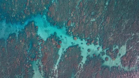 aerial top down bird's eye view of spur and groove fringing reef under clear pacific blue ocean water