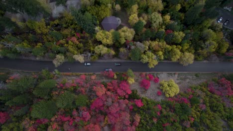 Cars-driving-along-colorful-forest-in-foliage-autumn-season