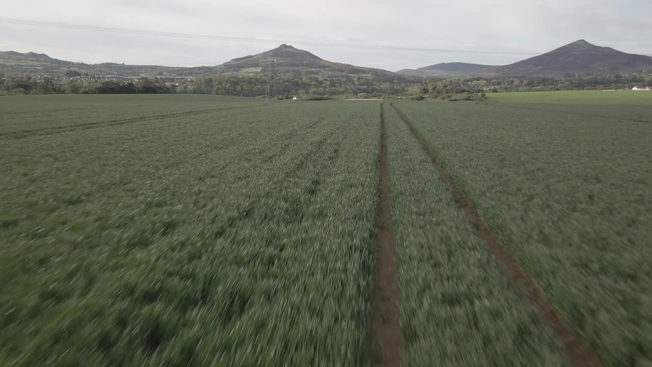 vista aérea de las huellas de los tractores en la cosecha verde en los campos de irlanda