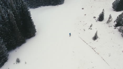 Vista-Aérea-De-Drones-Del-Hombre-Splitboarding-Solo-A-Través-De-Montañas-Rocosas-Nevadas-Bosque-Alpino-Que-Se-Abre-Con-Nevadas-Ligeras