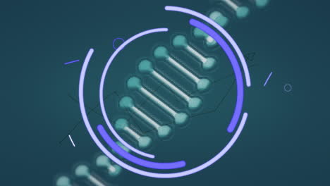 animación digital de formas abstractas azules sobre la estructura del adn girando contra un fondo azul