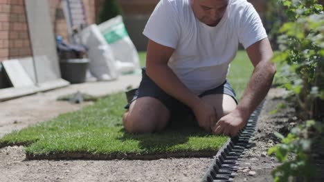 man laying sod grass in backyard garden for lawn installation and landscaping project, focused on home improvement and outdoor maintenance for a fresh, green lawn in a residential yard