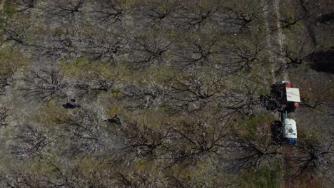 Drone-Workers-Working-In-Agricultural-Land