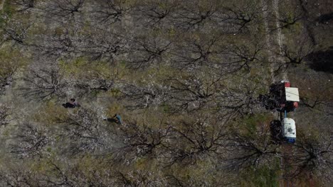 trabajadores de drones que trabajan en tierras agrícolas