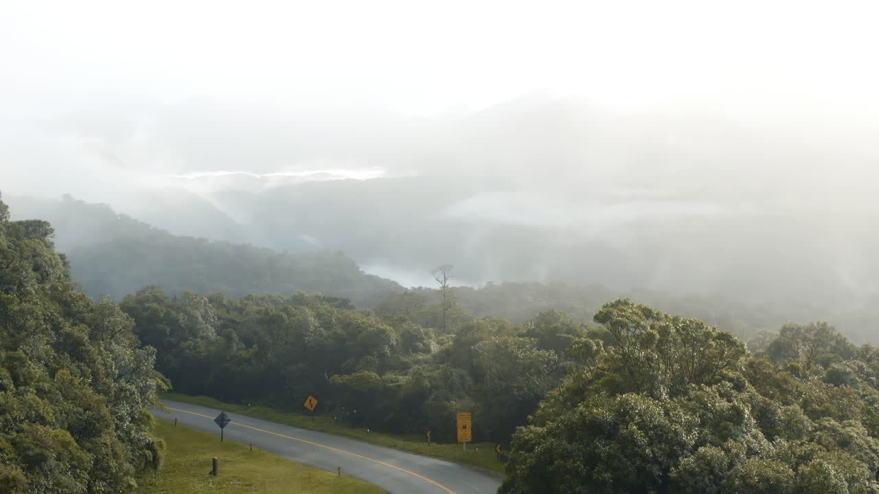 브라질 에스트라다 다 그라시오사(estrada da graciosa)에 있는 아마존 열대림의 아침에 물이 증발하는 드론 공중 전망