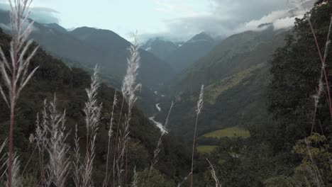 Trigo-En-Paisaje-De-Montaña-Con-Cielo-Nublado