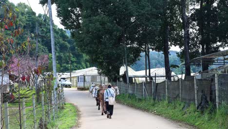 people walking along a village road