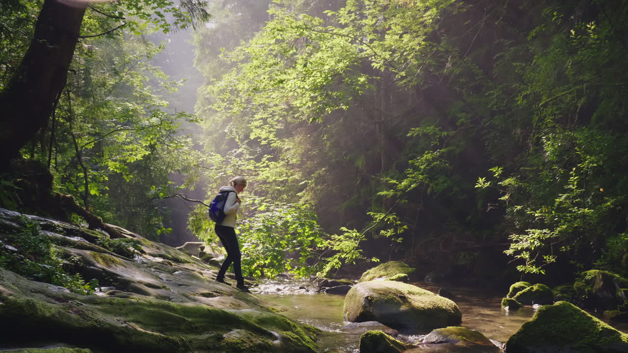 一個孤獨的女人漫步在森林中的水中, 迷失在森林中的危險冒險.