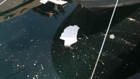 desechos plásticos flotando en las aguas de monte carlo