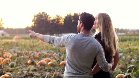 una pareja de pie en un campo de calabazas
