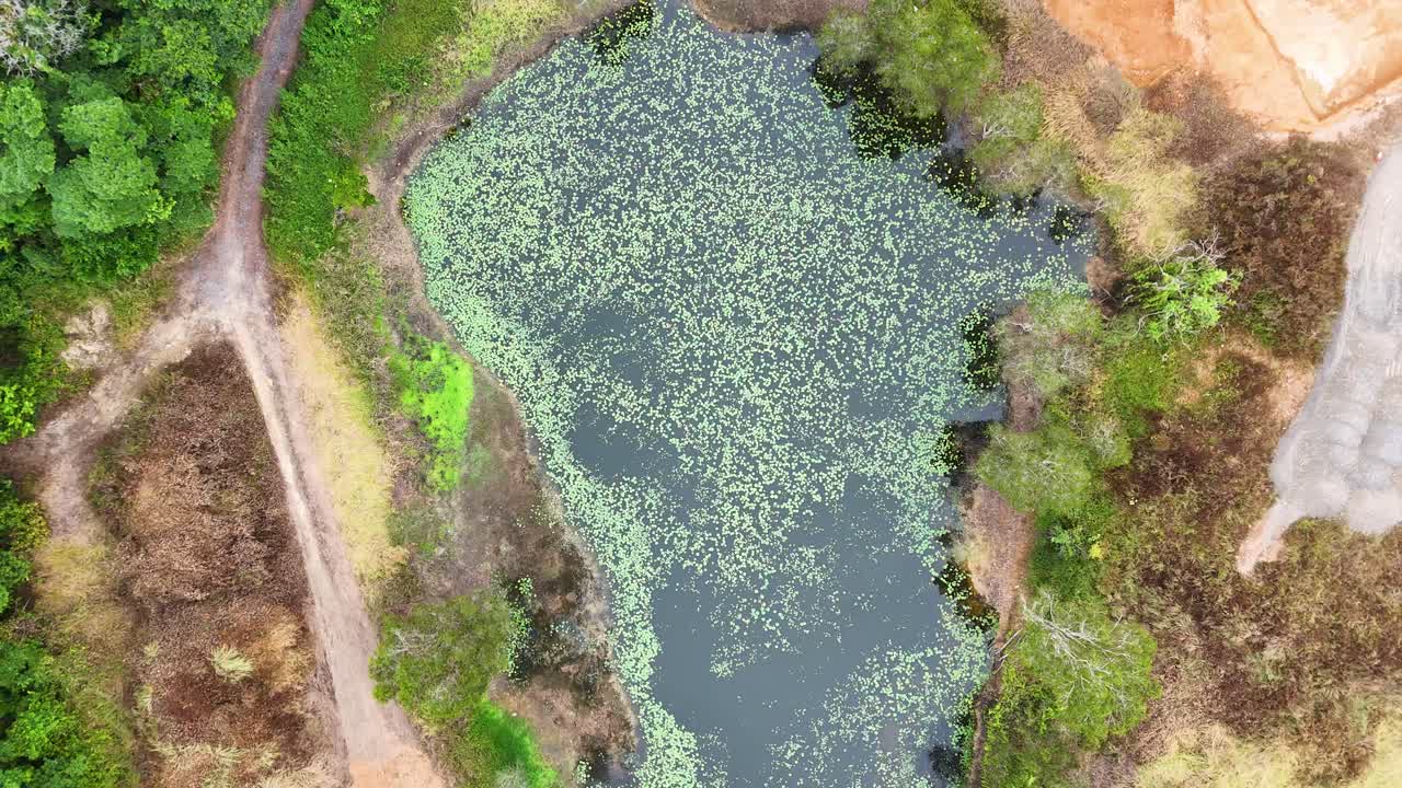 Drone footage captures a pond with surrounding greenery and cleared land in Port Douglas, Australia. Bright daylight enhances natural colors