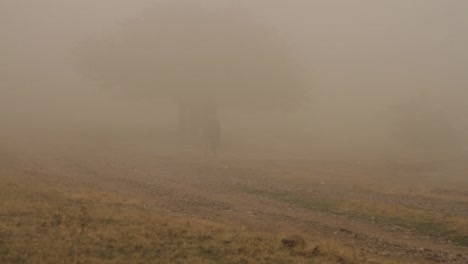 horseback rider in a misty landscape