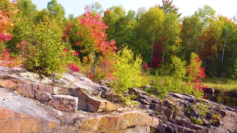 beautiful rocky riverbank with autumn colors, northern ontario, canada.