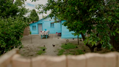 Countryside-home-backyard-in-rural-village