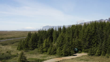 Straße-Durch-Wald-Auf-Der-Halbinsel-Snaefellsnes-In-Island---Panning-Offenbaren