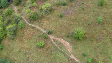 Ciclista-De-Montaña-Descendiendo-Por-Un-Sendero-Con-Una-Bicicleta-Eléctrica-A-Lo-Largo-Del-Bosque,-Escena-De-Acción