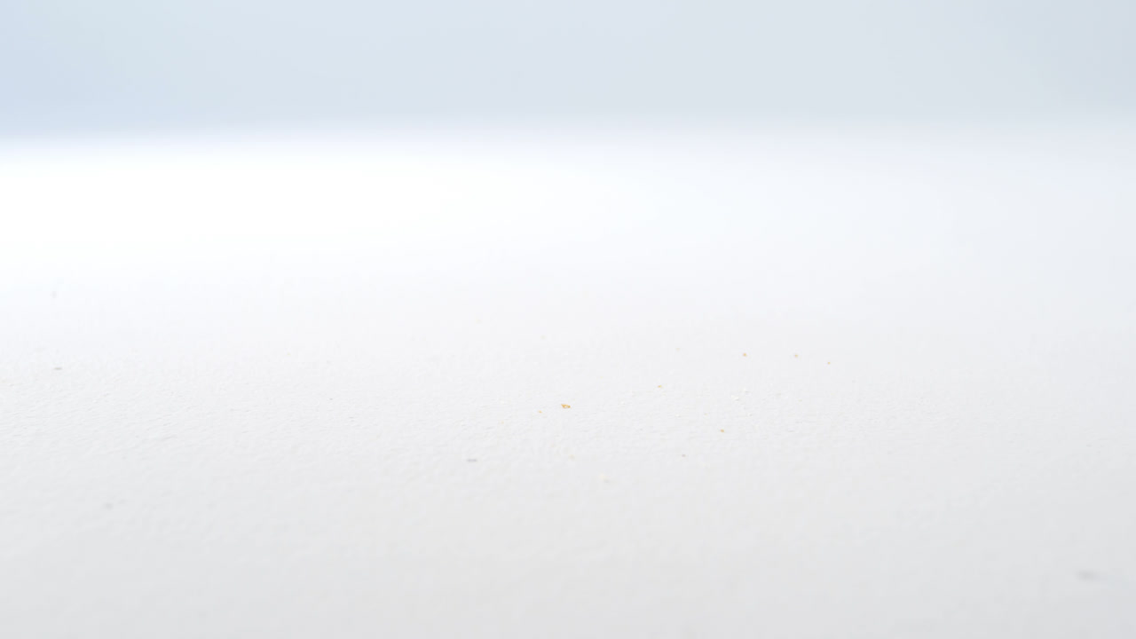 ⁇ 색 배경 에 있는 단일  ⁇  조각